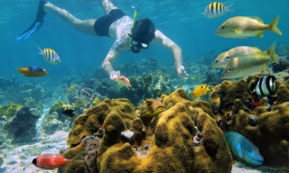 Cozumel, la Isla más grande del Caribe, Cozumel