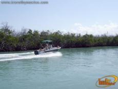 Paseo en Lancha por los Manglares, Laguna Nichupté