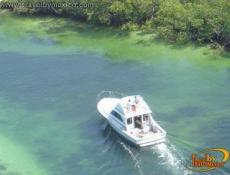 Paseo por Laguna Nichupté
