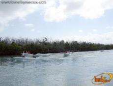 Paseo en Lancha por los Manglares, Laguna Nichupté