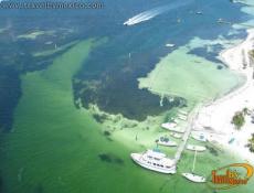 Pesca deportiva, buceo, ski, snorkel, vela, son algunas de las activdades que puede hacer en Cancún