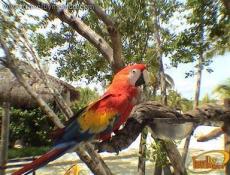 Flora y Fauna