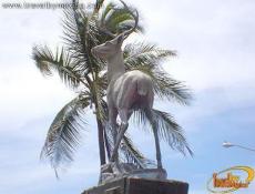 Simboliza al nombre que se le dio al municipio de Mazatlán