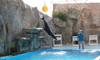 Acuario de MazatlÃ¡n, Mazatlán