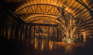 Gran Central, San Luis Potosí