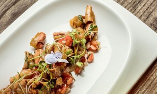 Roble Gourmet & Pre, San Luis Potosí