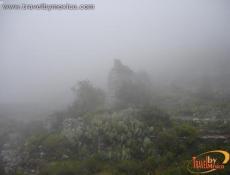 Neblina cubriendo el sitio.