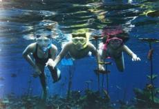 Niños practicando el esnorquel