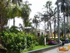 Andadores dentro de la plaza.
