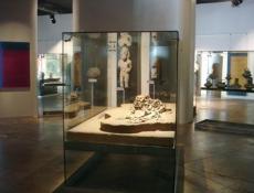 Aprender acerca de Tampico y su pasado.
