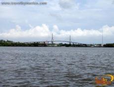 No deje de observar los cocodrilos.