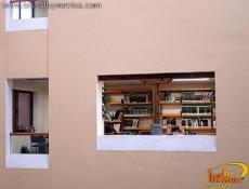 The library has computer rooms, book clubs, and a newspaper archive