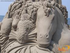 Land and sea animals