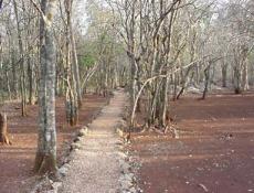 Located 73 miles to the south of Merida on Hwy 261 between Sayil and Labna