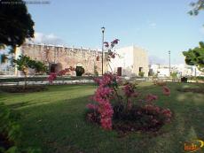 Rodeado de modernas casas urbanas y algunas de estilo antiguo neoclásico a manera de casonas