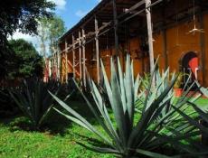 One of the Yucatan’s haciendas, colonial treasures