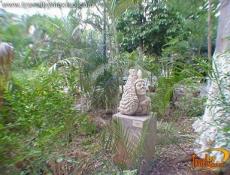 Jardínes y exposiones de diversos Artistas