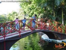 Enjoy a boat ride on the pond and canals