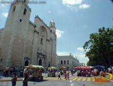 Sundays in the Plaza, Mérida