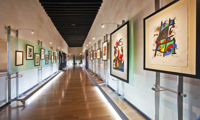 Pedro Coronel Museum